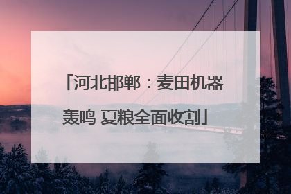 河北邯郸：麦田机器轰鸣 夏粮全面收割
