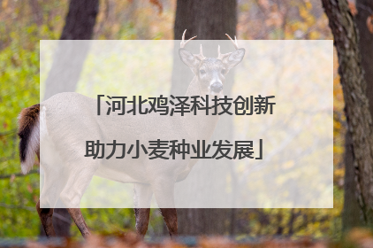 河北鸡泽科技创新助力小麦种业发展