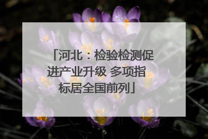 河北：检验检测促进产业升级 多项指标居全国前列