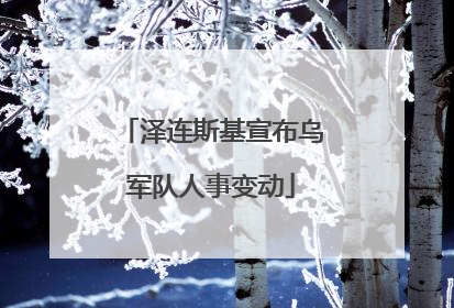 泽连斯基宣布乌军队人事变动