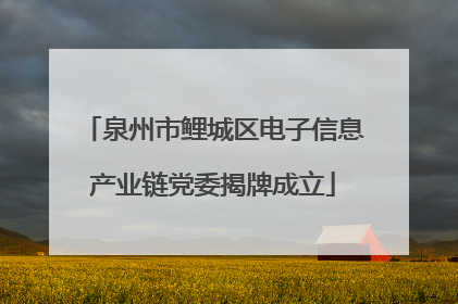 泉州市鲤城区电子信息产业链党委揭牌成立