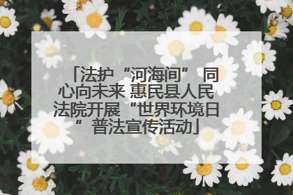 法护“河海间” 同心向未来 惠民县人民法院开展“世界环境日”普法宣传活动