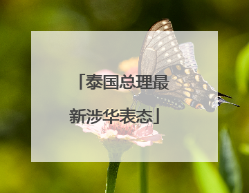 泰国总理最新涉华表态
