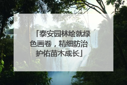 泰安园林绘就绿色画卷，精细防治护佑苗木成长