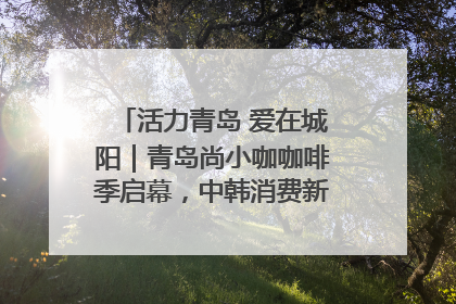 活力青岛 爱在城阳｜青岛尚小咖咖啡季启幕，中韩消费新场景点燃夏日热情