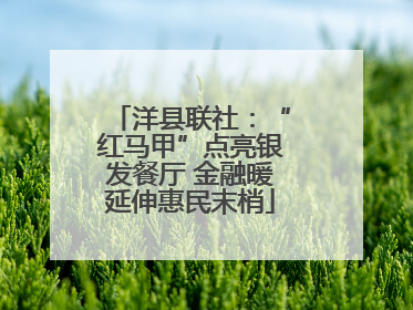 洋县联社：“红马甲”点亮银发餐厅 金融暖延伸惠民末梢