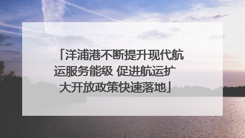 洋浦港不断提升现代航运服务能级 促进航运扩大开放政策快速落地