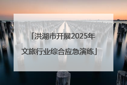 洪湖市开展2025年文旅行业综合应急演练