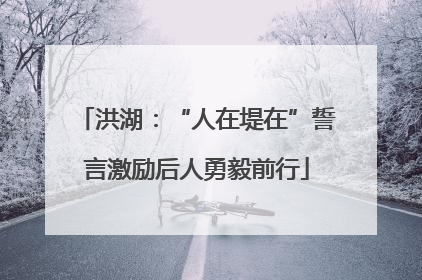洪湖：“人在堤在”誓言激励后人勇毅前行