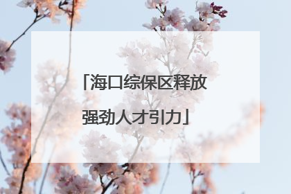 海口综保区释放强劲人才引力