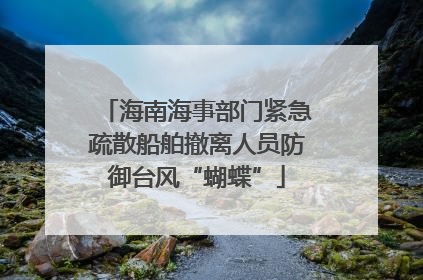 海南海事部门紧急疏散船舶撤离人员防御台风“蝴蝶”