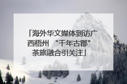 海外华文媒体到访广西梧州 “千年古郡”茶旅融合引关注