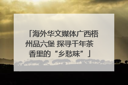 海外华文媒体广西梧州品六堡 探寻千年茶香里的“乡愁味”