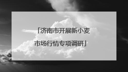 济南市开展新小麦市场行情专项调研