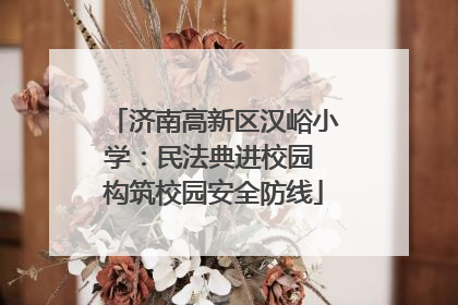 济南高新区汉峪小学：民法典进校园 构筑校园安全防线