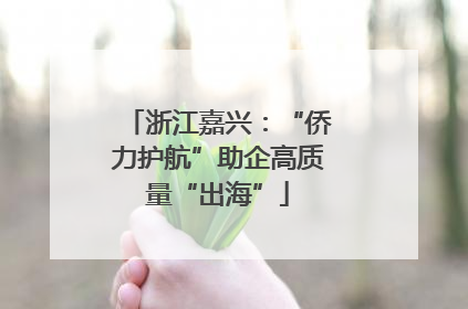 浙江嘉兴：“侨力护航”助企高质量“出海”