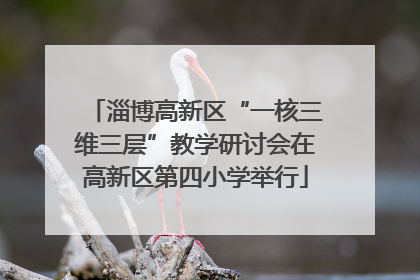 淄博高新区“一核三维三层”教学研讨会在高新区第四小学举行