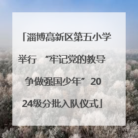 淄博高新区第五小学举行 “牢记党的教导 争做强国少年”2024级分批入队仪式