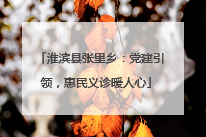 淮滨县张里乡：党建引领，惠民义诊暖人心