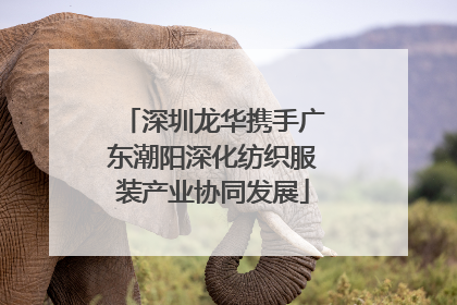深圳龙华携手广东潮阳深化纺织服装产业协同发展