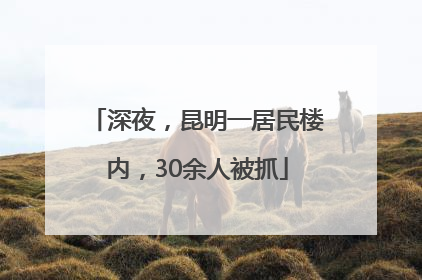 深夜，昆明一居民楼内，30余人被抓