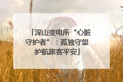深山变电所“心脏守护者”：孤独守望护航旅客平安