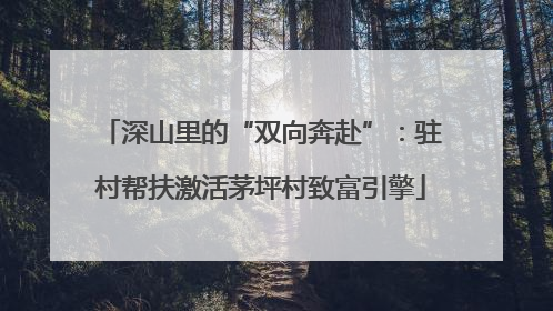 深山里的“双向奔赴”：驻村帮扶激活茅坪村致富引擎