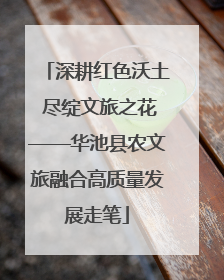 深耕红色沃土 尽绽文旅之花——华池县农文旅融合高质量发展走笔
