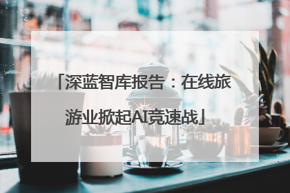 深蓝智库报告：在线旅游业掀起AI竞速战