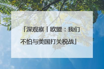 深观察丨欧盟：我们不怕与美国打关税战