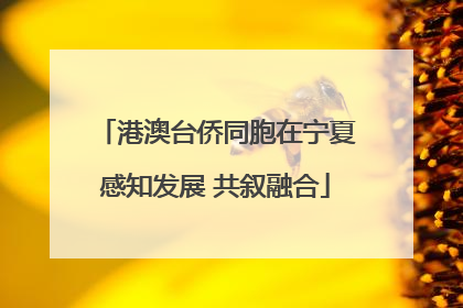 港澳台侨同胞在宁夏感知发展 共叙融合