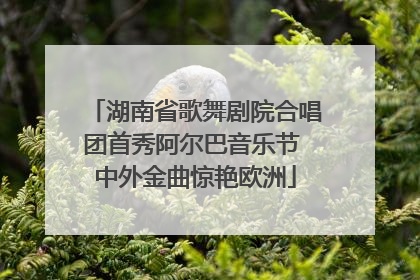 湖南省歌舞剧院合唱团首秀阿尔巴音乐节 中外金曲惊艳欧洲