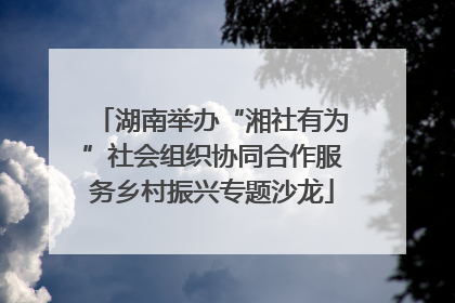 湖南举办“湘社有为”社会组织协同合作服务乡村振兴专题沙龙