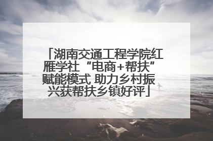 湖南交通工程学院红雁学社“电商+帮扶”赋能模式 助力乡村振兴获帮扶乡镇好评