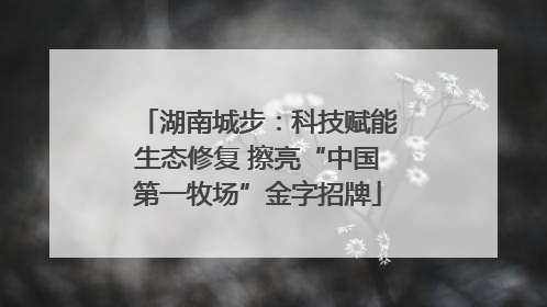 湖南城步：科技赋能生态修复 擦亮“中国第一牧场”金字招牌