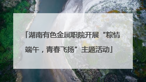 湖南有色金属职院开展“粽情端午，青春飞扬”主题活动