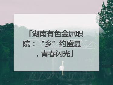 湖南有色金属职院：“乡”约盛夏，青春闪光