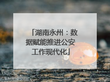 湖南永州：数据赋能推进公安工作现代化