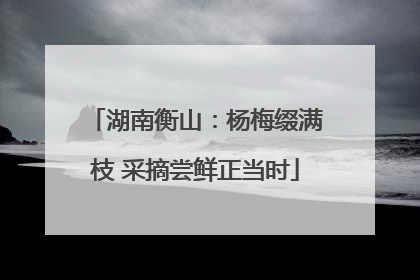 湖南衡山：杨梅缀满枝 采摘尝鲜正当时