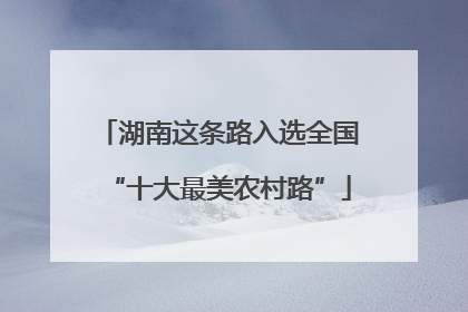 湖南这条路入选全国“十大最美农村路”