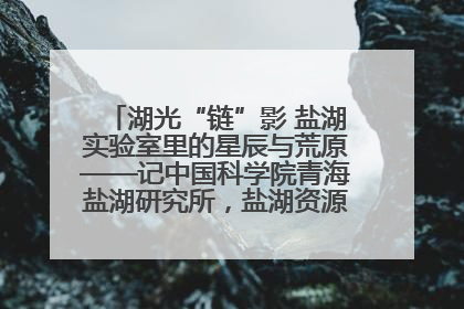 湖光“链”影 盐湖实验室里的星辰与荒原——记中国科学院青海盐湖研究所，盐湖资源化学实验室党总支书记、副主任刘忠