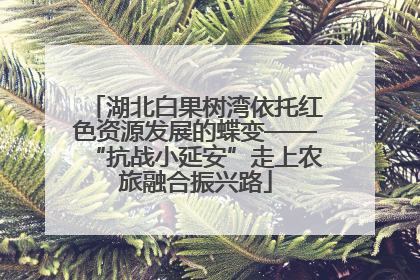 湖北白果树湾依托红色资源发展的蝶变——“抗战小延安”走上农旅融合振兴路