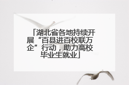 湖北省各地持续开展“百县进百校联万企”行动，助力高校毕业生就业