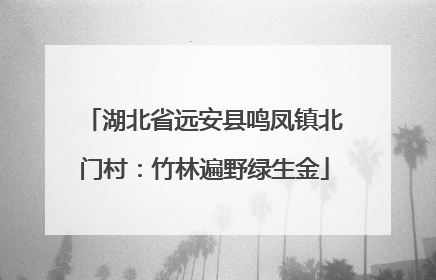 湖北省远安县鸣凤镇北门村：竹林遍野绿生金