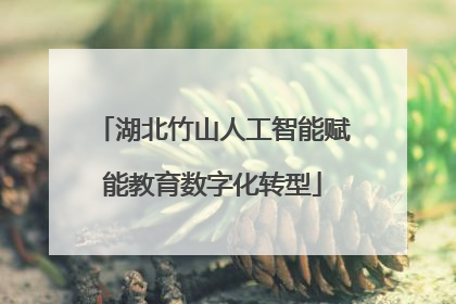 湖北竹山人工智能赋能教育数字化转型