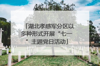 湖北孝感军分区以多种形式开展“七一”主题党日活动