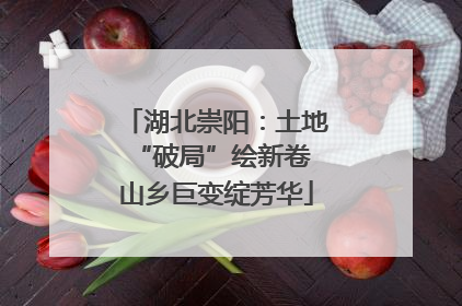 湖北崇阳：土地“破局”绘新卷 山乡巨变绽芳华