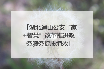 湖北通山公安“家+智慧”改革推进政务服务提质增效