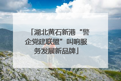 湖北黄石新港“警企党建联盟”叫响服务发展新品牌
