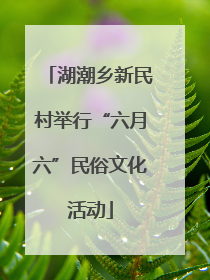 湖潮乡新民村举行“六月六”民俗文化活动